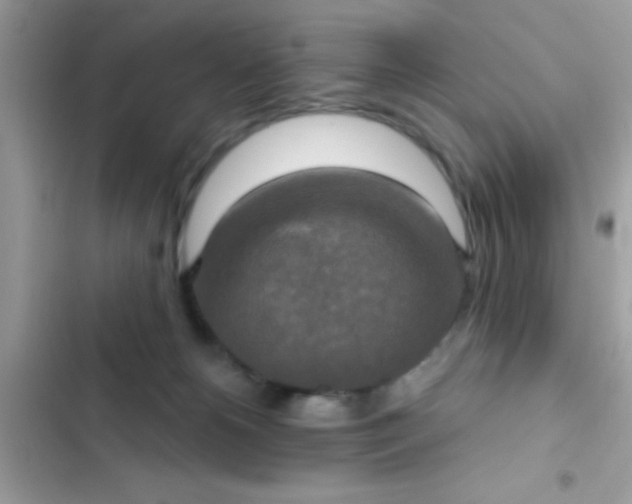 X0000102410180200808152013