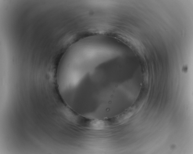 X0000102410181200808152013