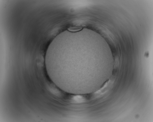 X0000102410183200808152013