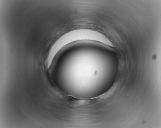 X0000102410184200808152013