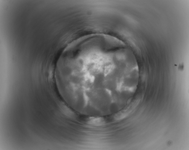 X0000102410185200808152013