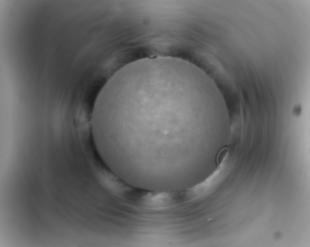 X0000102410186200808152013