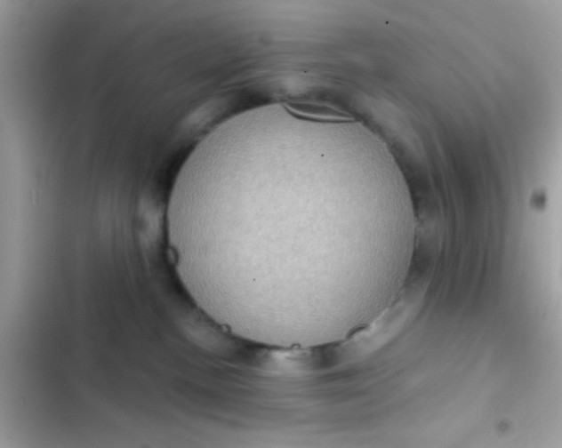 X0000102410188200808152013