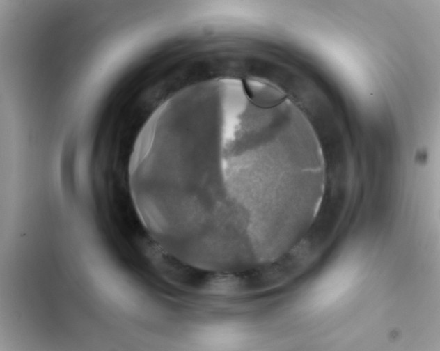 X0000102410189200808152013