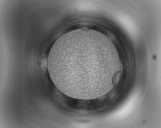 X0000102410190200808152013