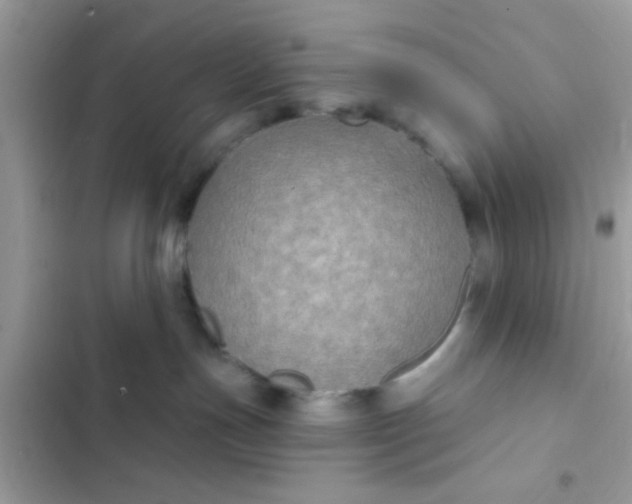 X0000102410191200808152013