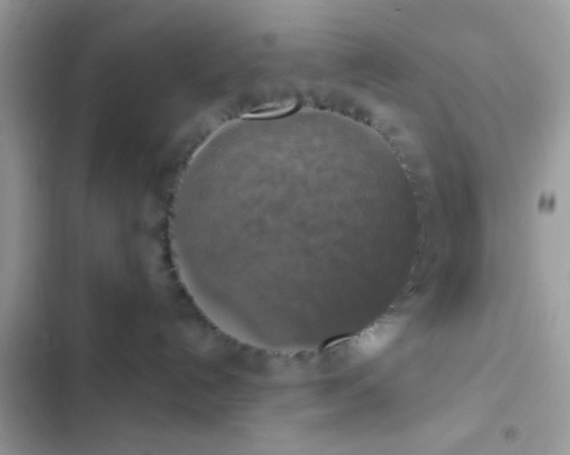 X0000102410192200808152013