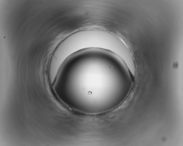 X0000102410193200808152013