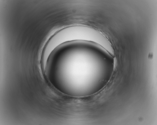 X0000102410195200808152013