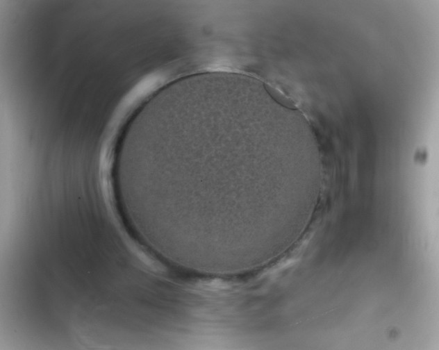 X0000102410197200808152013