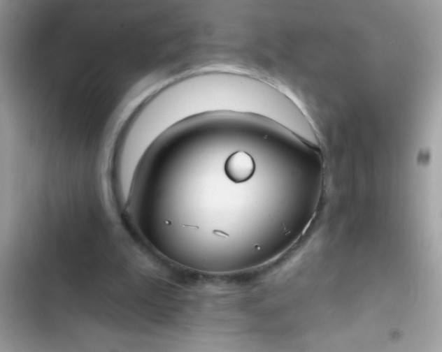 X0000102410199200808152013