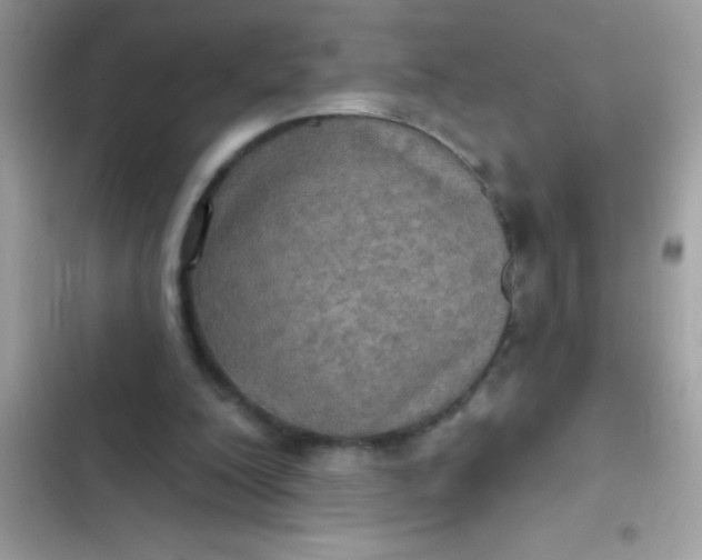 X0000102410200200808152013