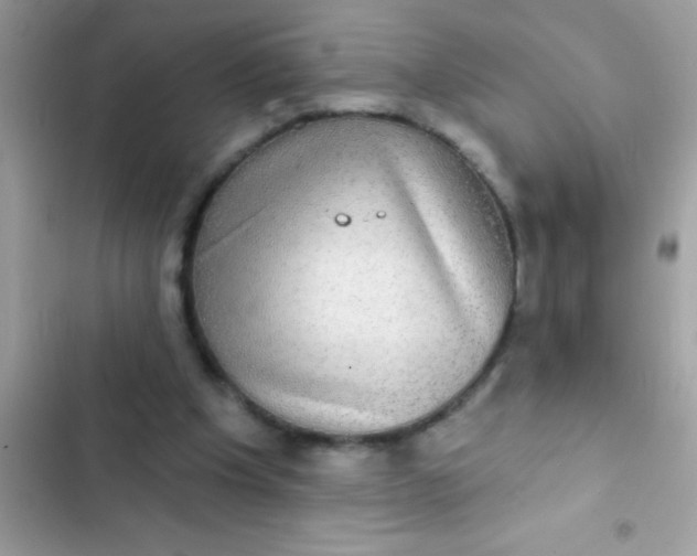 X0000102410201200808152013