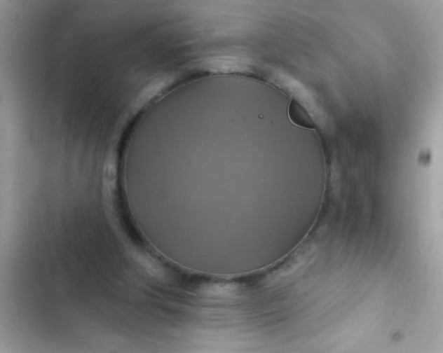 X0000102410202200808152013