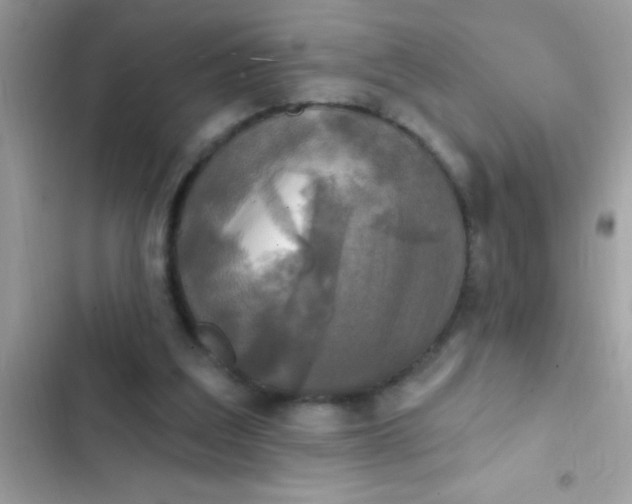 X0000102410203200808152013