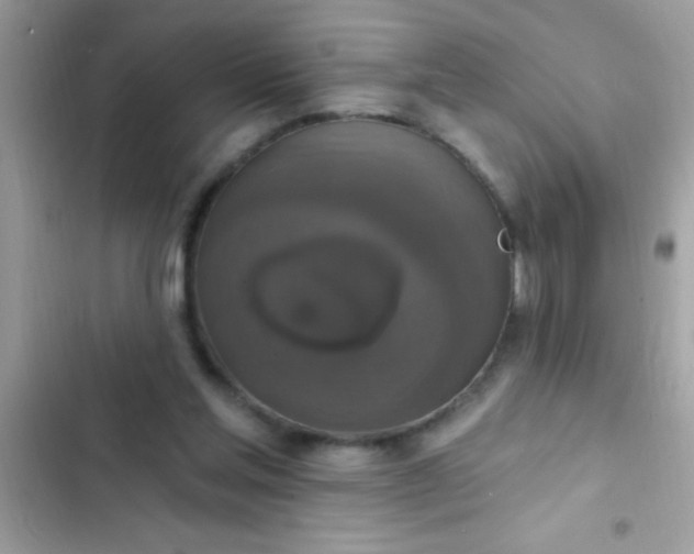 X0000102410205200808152013