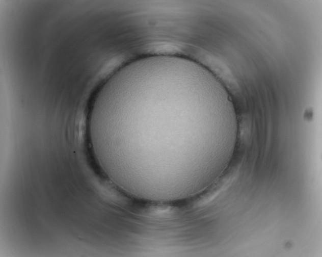 X0000102410206200808152013