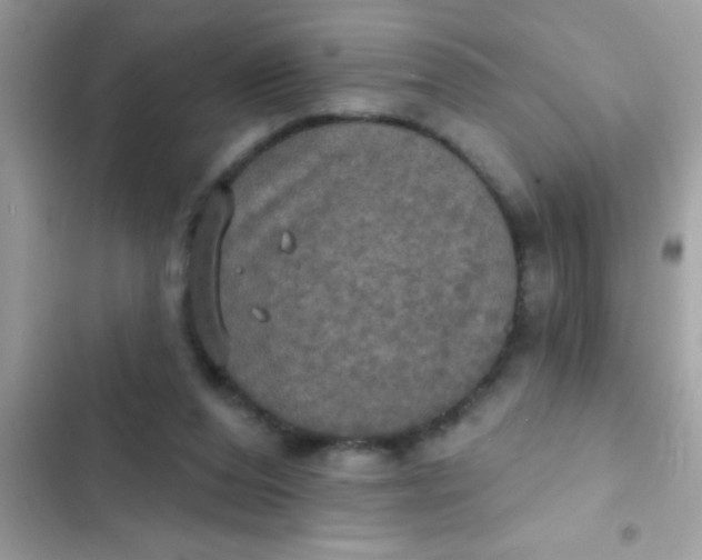 X0000102410208200808152013