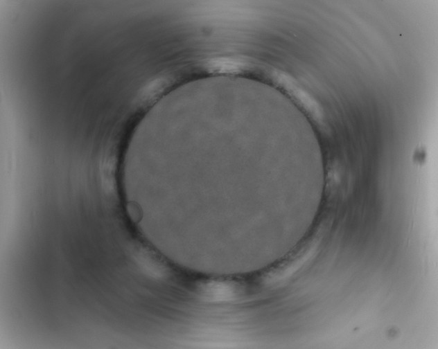 X0000102410209200808152013