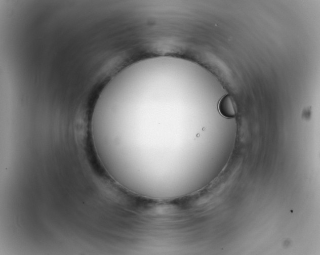 X0000102410210200808152013