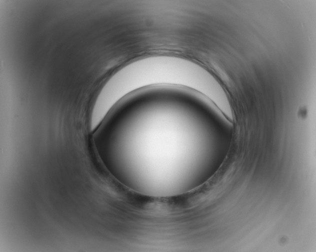 X0000102410211200808152013