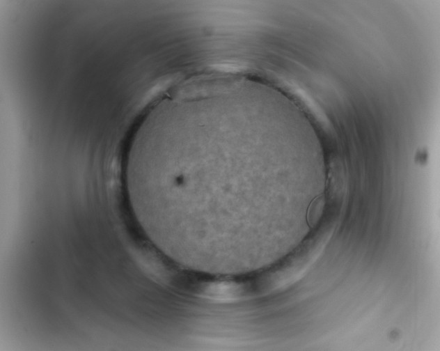 X0000102410212200808152013