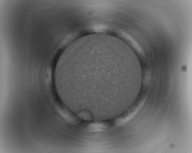 X0000102410213200808152012