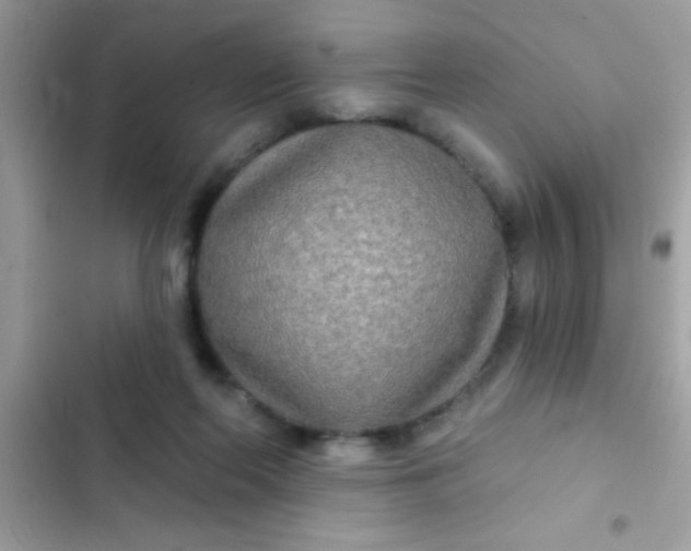 X0000102410214200808152012