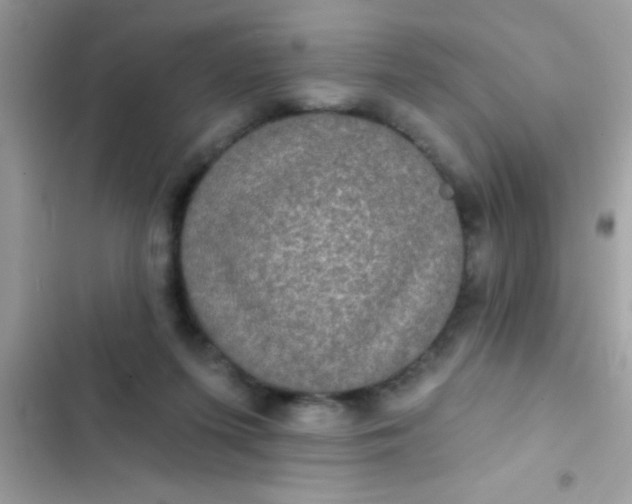 X0000102410215200808152012