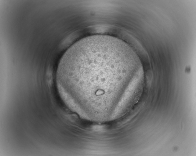 X0000102410216200808152012