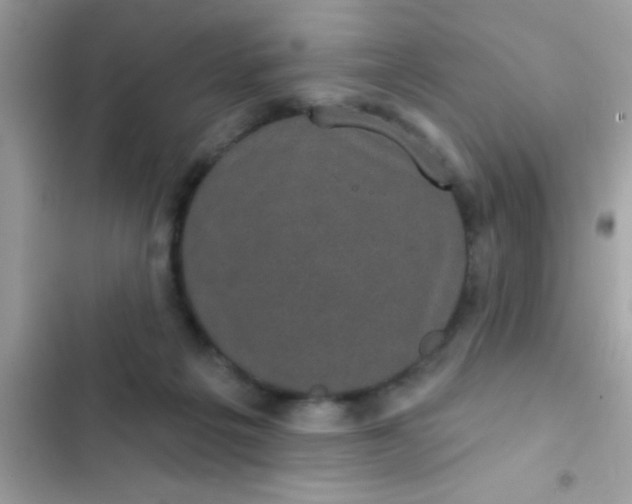 X0000102410217200808152012