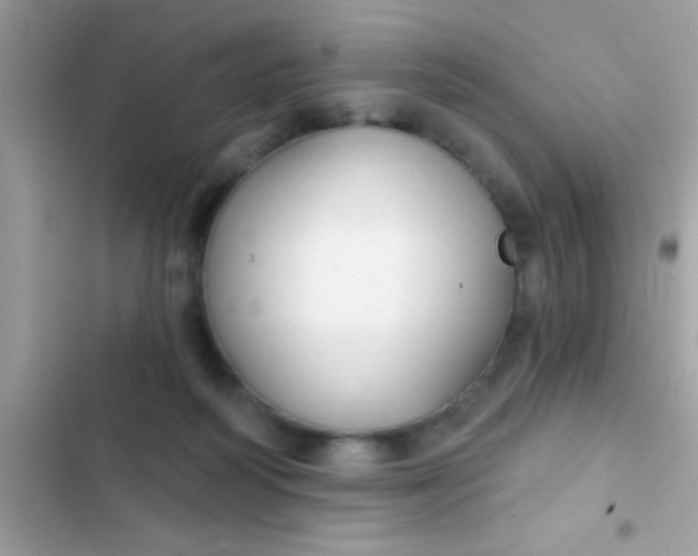 X0000102410218200808152012