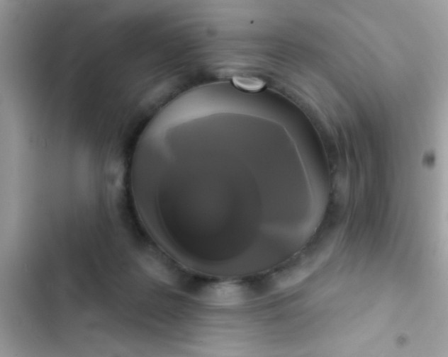 X0000102410219200808152012