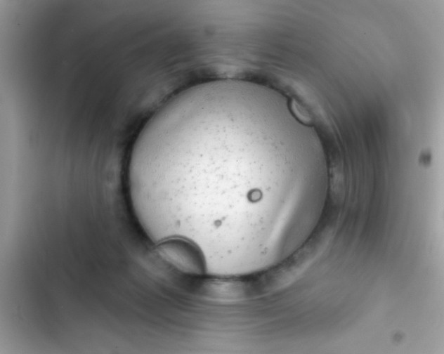 X0000102410221200808152012