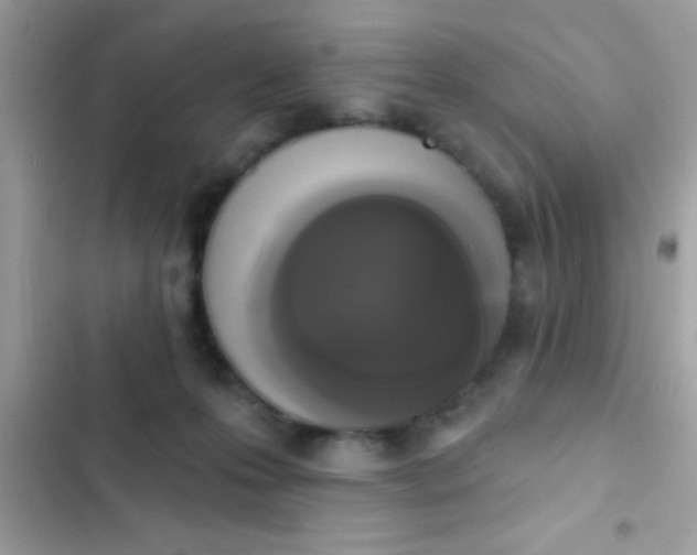 X0000102410223200808152012