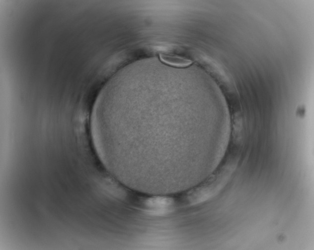 X0000102410225200808152012