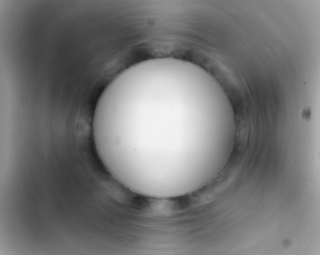 X0000102410226200808152012