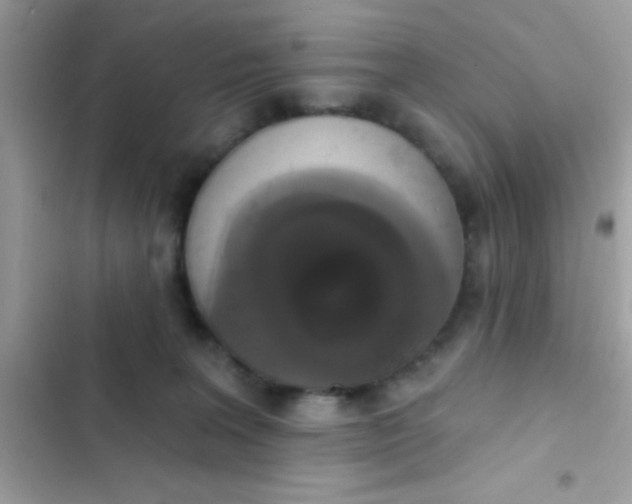 X0000102410227200808152012