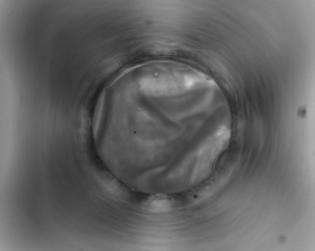 X0000102410228200808152012