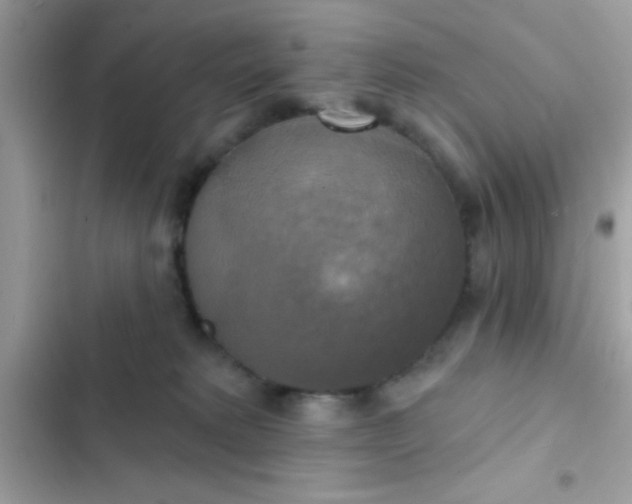 X0000102410229200808152012