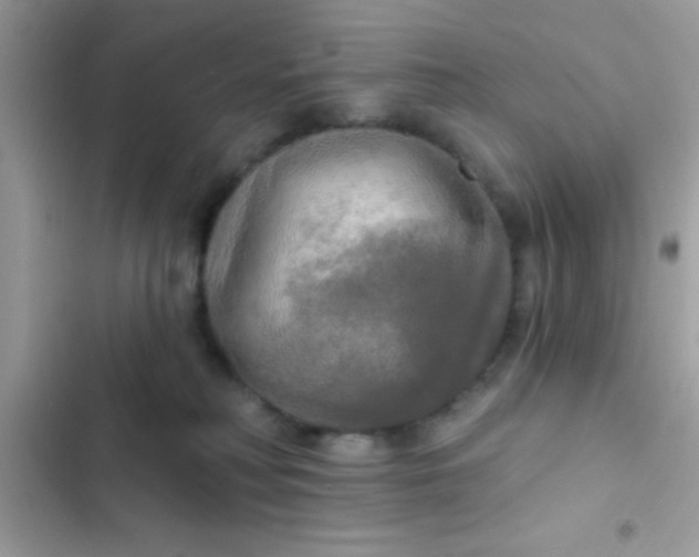 X0000102410230200808152012