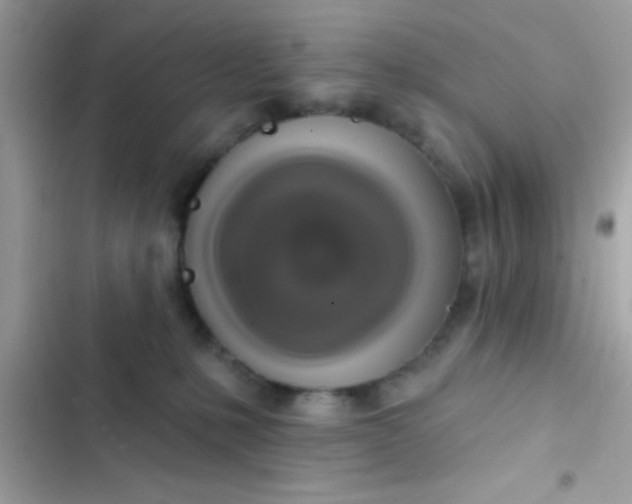 X0000102410231200808152012