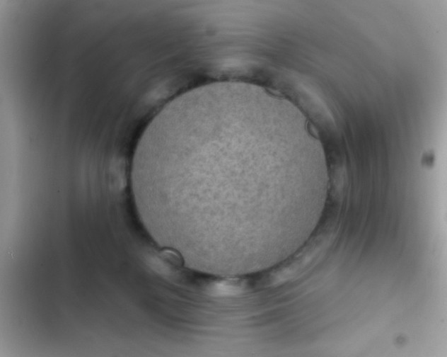 X0000102410232200808152012