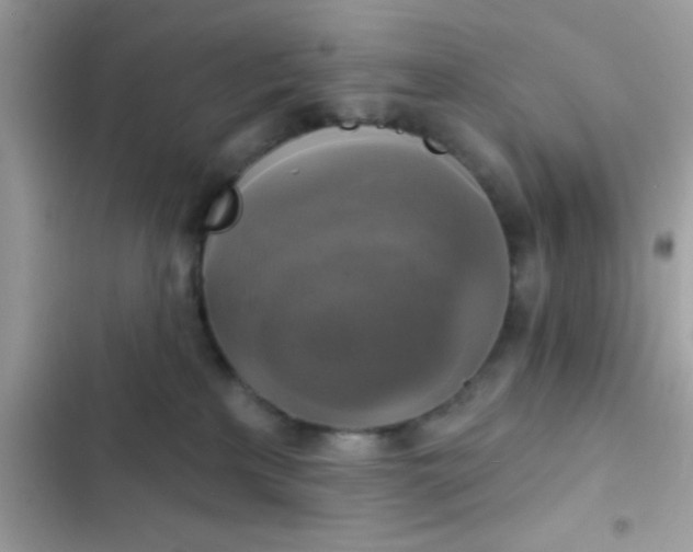 X0000102410233200808152012