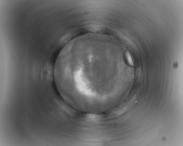 X0000102410234200808152012