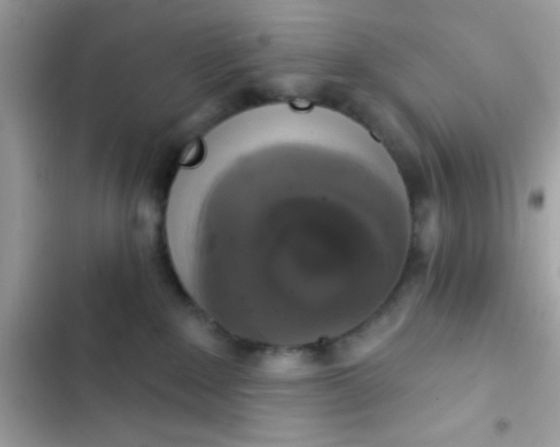 X0000102410235200808152012