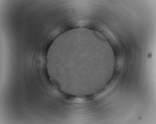 X0000102410236200808152012