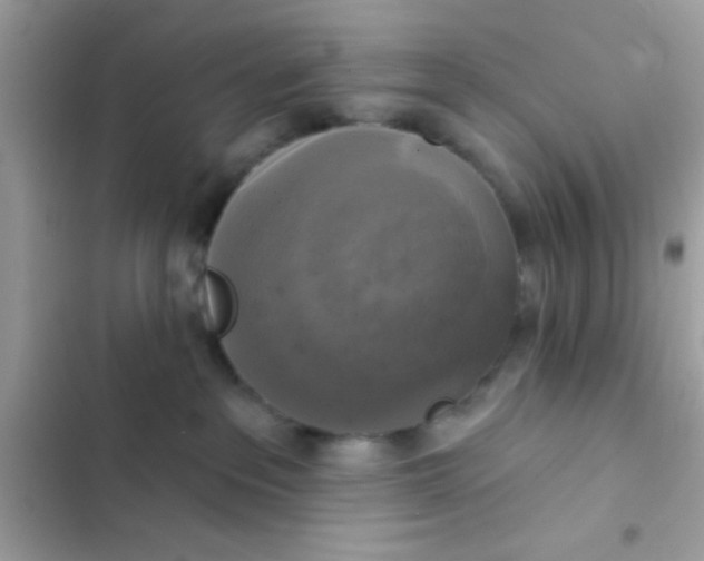 X0000102410237200808152012