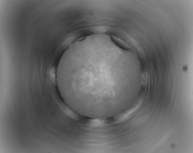 X0000102410238200808152012