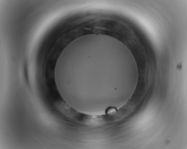 X0000102410239200808152012